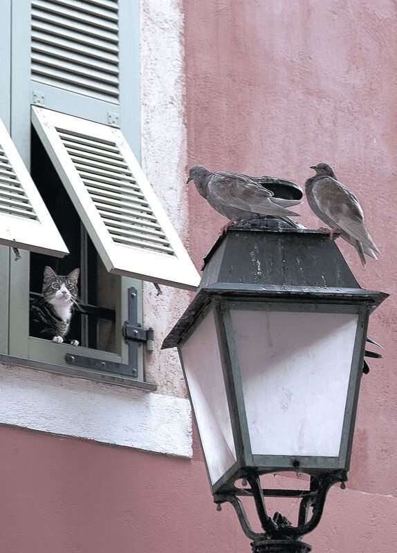 kaiyun体育app-_引领潮流：运动员的时尚穿搭成为热点_，2021运动员穿的衣服是什么牌子