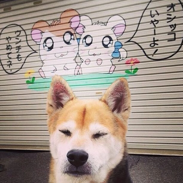 开云·体育全站登录地址-《使命召唤》赛事观众射击技巧：FPS玩家的反应速度与精准度，使命召唤射速怎么调