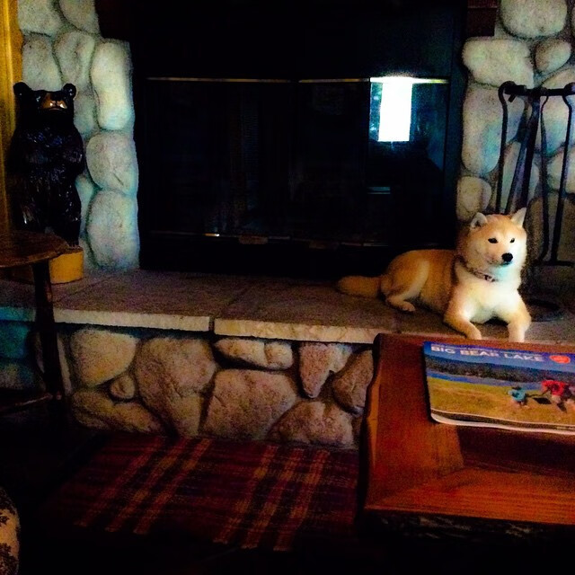 开云kaiyun-中国赛车手勇夺世界耐力赛冠军，刷新国内纪录，中国cec耐力赛